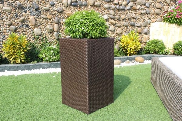 Jardinière Îlet des Lataniers