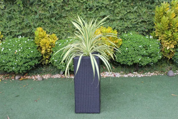 Jardinière Patelin