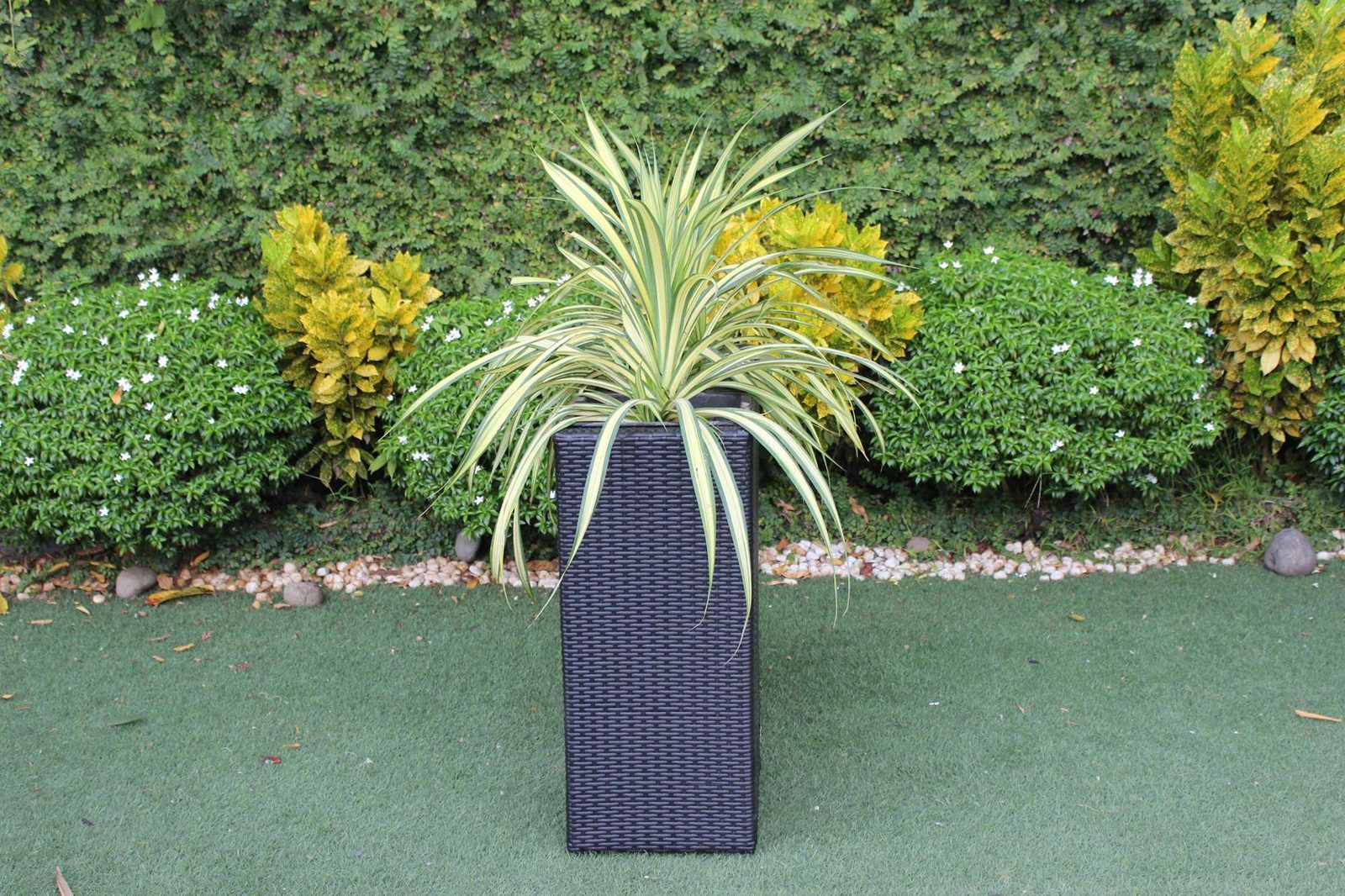 Jardinière Patelin